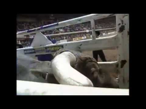 Little Yellow Jacket bucks Mike Lee - 02 PBR Ft. Worth