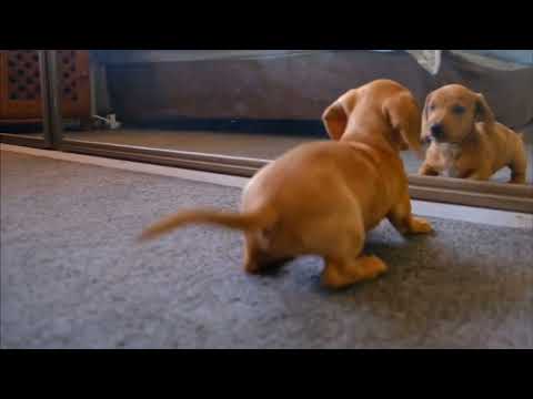 me with my self 😂