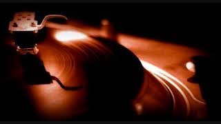 Ziggy Marley &amp; The Melody Makers ~ Conscious Party