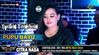 Download lagu PUPU BAYU \\ COVER TARLING TENGDUNG CITRA NADA 2023 \\ IKA BONITA mp3 Download lagu PUPU BAYU \\ COVER TARLING TENGDUNG CITRA NADA 2023 \\ IKA BONITA mp3