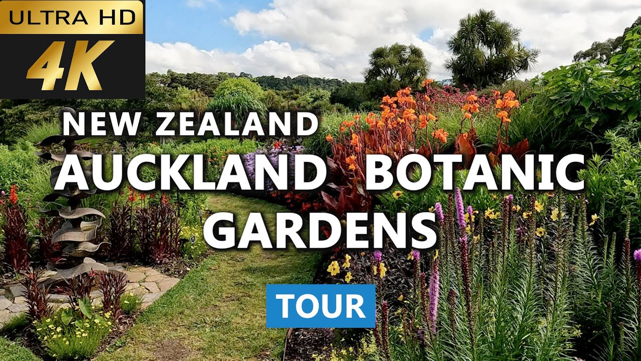 Embark on virtual tour of the beautiful Botanic Gardens, Auckland.