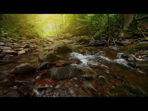 PRISJEĆANJE SMRTI || EMOTIVNO || dr. Safet Kuduzović