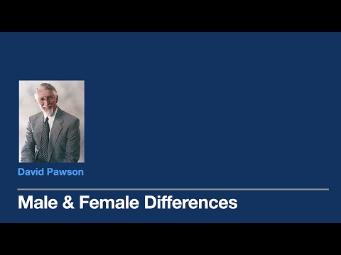 Male and Female Differences - David Pawson