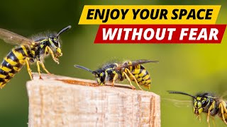 How to Get Rid of Hornets & Wasps Naturally