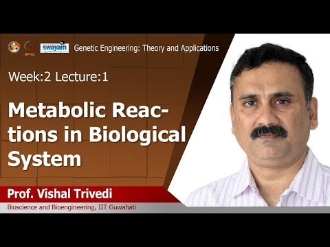 Genetic Engineering Theory and Application Intro Video