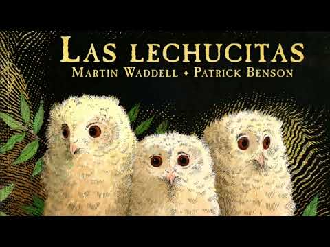 Las lechucitas - Cuentos infantiles -