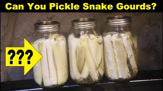 Can You PICKLE Snake Gourds?