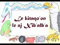 Popol Wuj in K'iche' Language: Chapter 11 (Le kitaqo'on le aj Xib'alb'a, with Spanish subtitle)