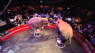 HBO Documentary Films: An Apology to Elephants Trailer