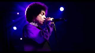 Prince - Dolphin Aftershow