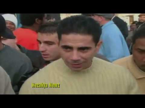 1999 THROWBACK  JOEY MERLINO