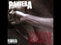 Pantera Vulgar Display Of Power Full Album 
