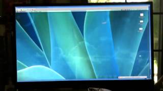 TwinVNC on AmigaOne X1000