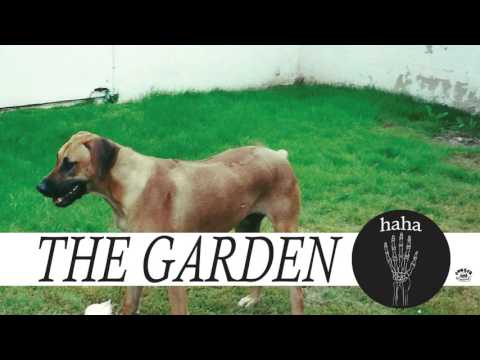 Cells Stay Clean - The Garden