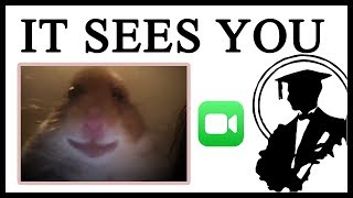 What Is The Creepy Hamster Looking At?  Lessons in