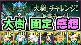 【感想】大樹チャレンジ固定チームを終えて思うこと【パズドラ】