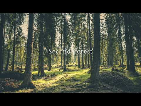 Second Forest - TOMOYA NAKA