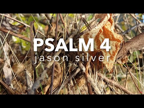 Cover image for YouTube video And Be Silent