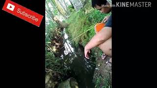 Download lagu Video mengagetkan.....story WA mp3 Download lagu Video mengagetkan.....story WA mp3