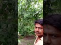 Piya Savn Ka Mela