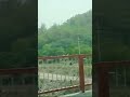 Mai Dhoondta Hu Jinko Viral Haridwar Shorts