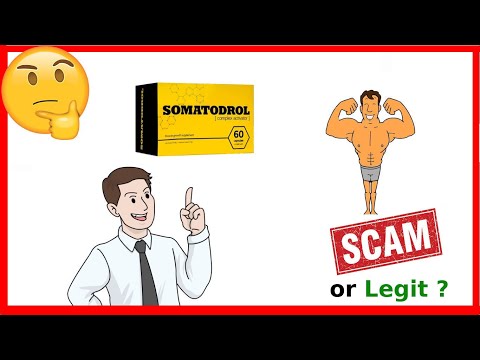 download lagu mp3 mp4 Somatodrol Ingredients, download lagu Somatodrol Ingredients gratis, unduh video klip Somatodrol Ingredients