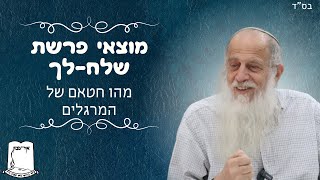 מלווה מלכה פרשת שלח-לך| מהו חטאם של המרגלים | רה"י הרב שמעון לפיד שליט"א (ישיבת אור עציון) - התמונה מוצגת ישירות מתוך אתר האינטרנט יוטיוב. זכויות היוצרים בתמונה שייכות ליוצרה. קישור קרדיט למקור התוכן נמצא בתוך דף הסרטון מלווה מלכה פרשת שלח-לך| מהו חטאם של המרגלים | רה"י הרב שמעון לפיד שליט"א (ישיבת אור עציון) - התמונה מוצגת ישירות מתוך אתר האינטרנט יוטיוב. זכויות היוצרים בתמונה שייכות ליוצרה. קישור קרדיט למקור התוכן נמצא בתוך דף הסרטון