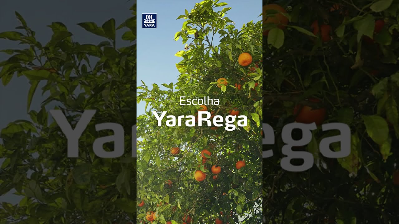Simplifique sua fertirrigação | YaraRega