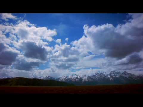 Ivano Fossati - La Pianta del Tè