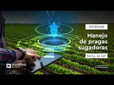 Manejo de pragas sugadoras | Webinar | Ourofino Agrociência