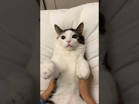 관리.. 고객님 요즘 많이 바쁘셨어요? 발톱도 많이 자라고, 젤리도 거치네