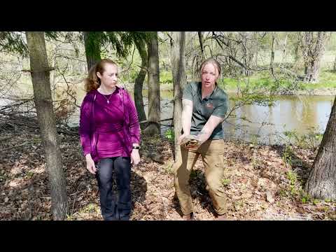 Mondays with Martha #155 - It's Turtle Time!