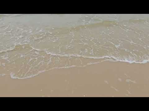 সৈকত,  ঢেউ। beach Brighton le Sands