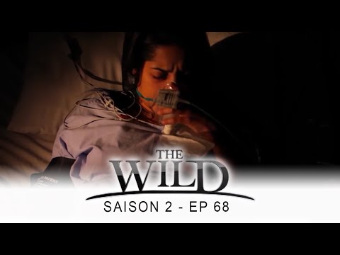 The Wild - Saison 2 - épisode 68 - Complet en français - HD 1080