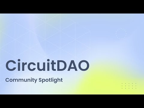 CircuitDAO Community Spotlight