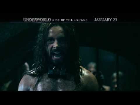 Underworld Rise of the Lycans - In theaters Friday 1/23