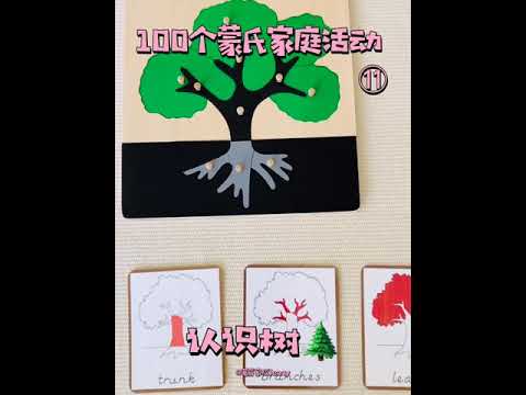 100个蒙氏家庭活动1️⃣1️⃣认识树