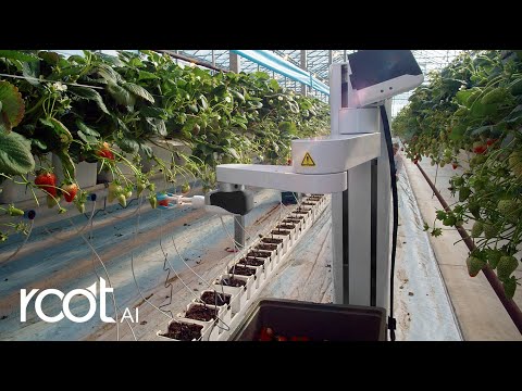 Vidéo YouTube - Lh7NO7h7hAM