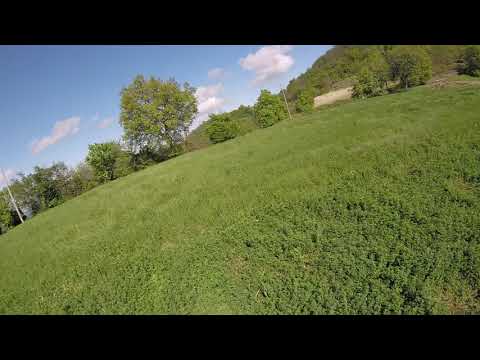 bérgogno-sky-2--gently-fpv-vifly-x150-4s