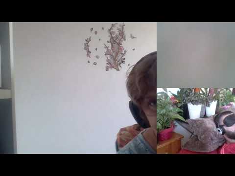 Hipnoza regresiva 263 Aurel ,prizonier in lume energetica cu nr 33126 ,perceptia vocilor si ce se in