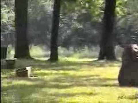 Archer Woods Cemetery Video 3