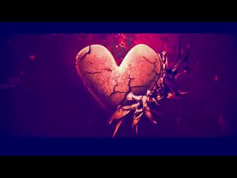 Gato-care prieteni ✓