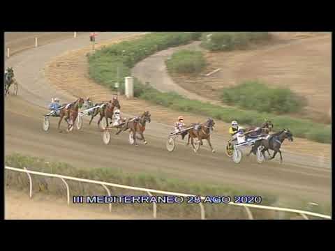 Trotto Corse del 28 Agosto 2020