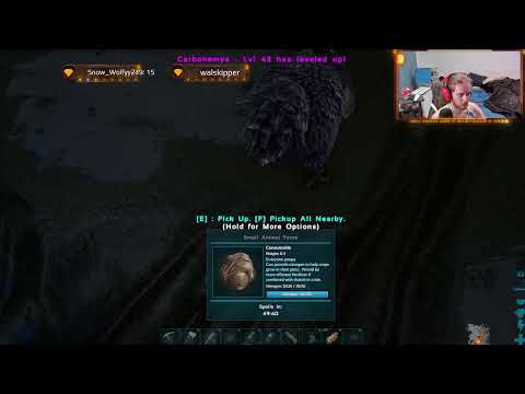 Can We Survive. Casual Chat Extinction Survival Pt14 Base Organising and Farming Mat's