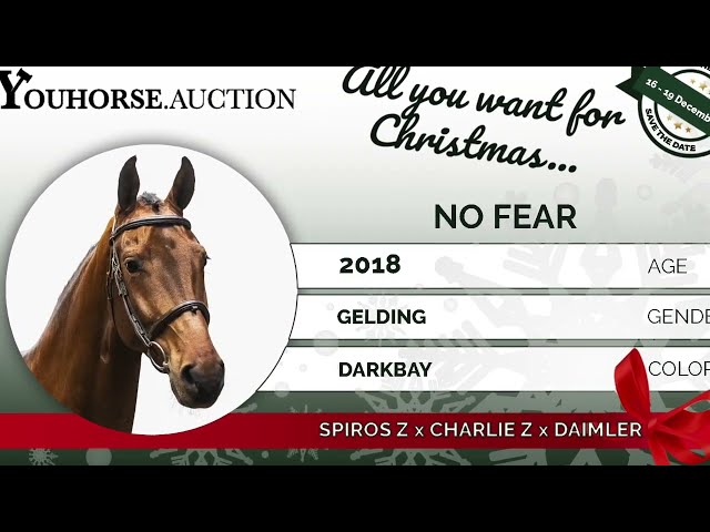 No fear 5yo final Oliva