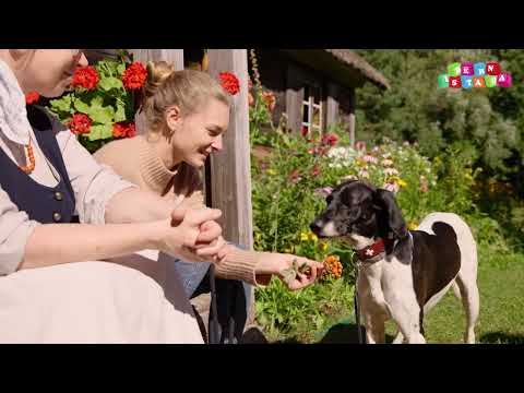 URGA URDA | Pīlādzis | 2.daļa | 3. sezona 6.sērija