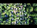 Camping Rabbit Hill