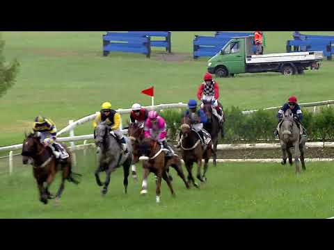 Frauenfeld/10.06.2019/Preis der Donatoren - 98. Grosse Steeple Chase am Pfingstmontag