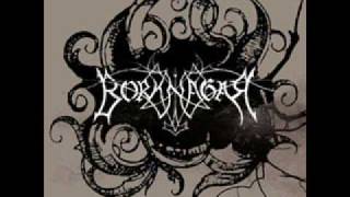 Borknagar - Earth Imagery