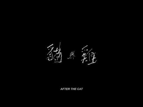 【高雄拍】《貓與雞》After the Cat|2024 高雄電影節